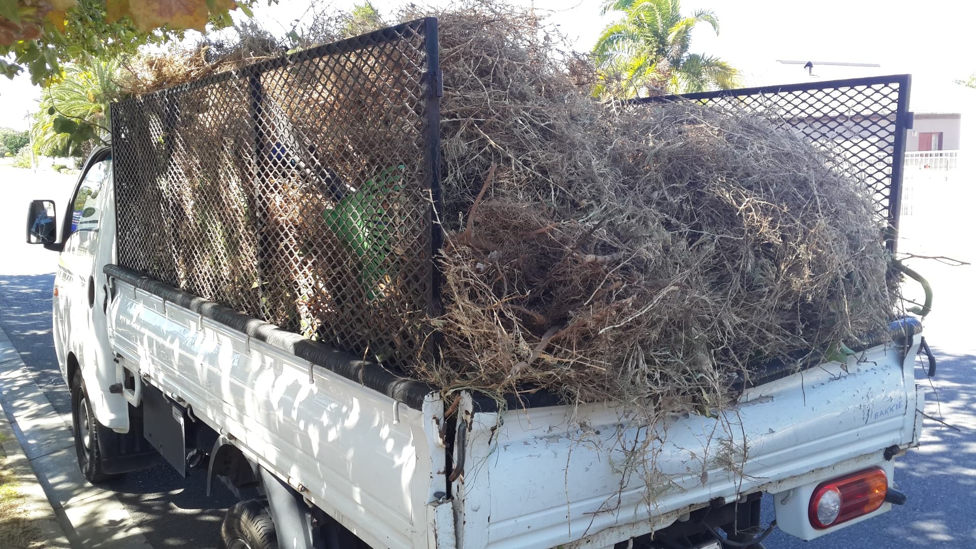 Decorative Stone & Bark